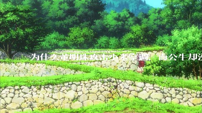 为什么董明珠攻击小米空调，而公牛却没有攻击小米插座？