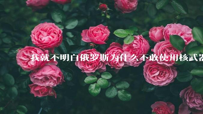 我就不明白俄罗斯为什么不敢使用核武器?