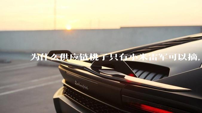 为什么供应链桃子只有小米雷军可以摘，其他人只能干瞪眼？