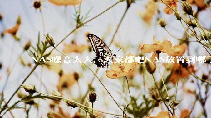 NAS噪音太大，大家都吧NAS放置到哪了？
