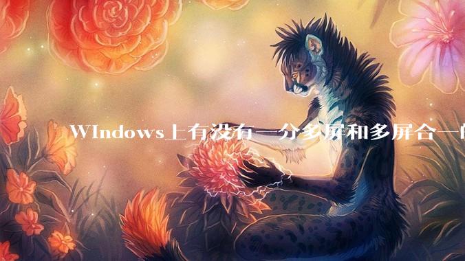 Windows上有没有一分多屏和多屏合一的软件？